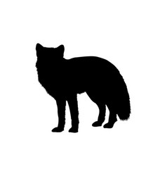 Fox Silhouette