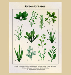 Green Grasses Poster