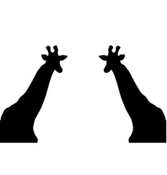 Giraffe Silhouette