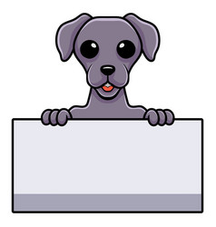 Cute Weimaraner Dog Cartoon Holding Blank Sign