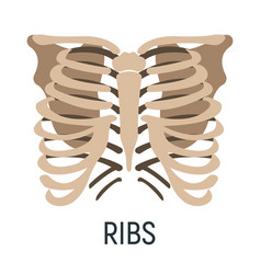 Thoracic Cage Bone Chest X-ray Concept Icon