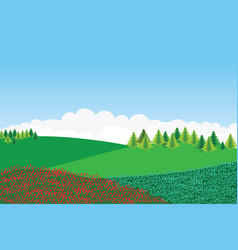 Green Mountain Flower Field With Pine Trees