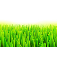 Stock Realistic Macro Grass