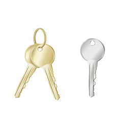 Realistic Keys In Gold And Silver Keychain