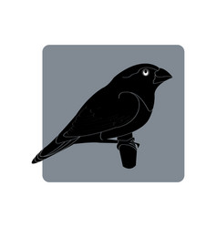 Sparrow Icon