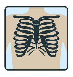 Thoracic Cage Bone Chest X-ray Concept Icon