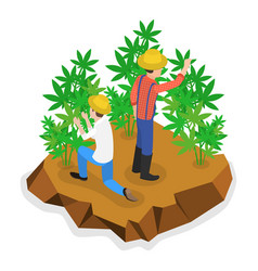 3d Isometric Flat Of Hemp Farm