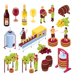 Stages wine making process isolated Royalty Free Vector