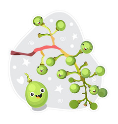 Cute Fruit Characters Kawaii For Kids Happy Grape