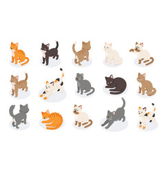 Isometric Cats Set