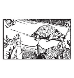 Aesops Fables The Hare And The Tortoise Vintage