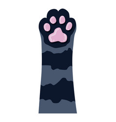 Cat Paw Cute Cartoon Domestic Animal Foot