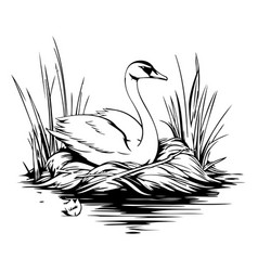 Swan On The Lake In A Cartoon Style