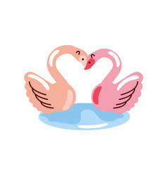 Flamingos Love Romance