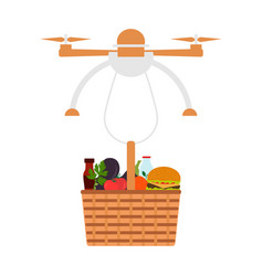 Drone Carries Food Delivery Transportation