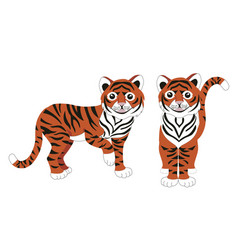 Chinese Tiger Stock Isolated