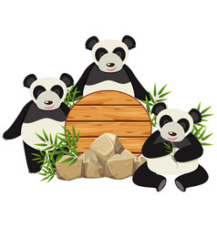 Round Board With Three Cute Pandas