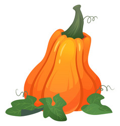 Pumpkin Cartoon Icon Autumn Harvest Farm