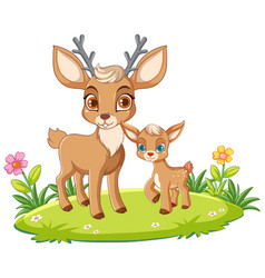 Mother Deer And Baby In Cartoon Style