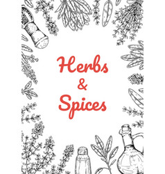 Herbs And Spices Vertical Design Hand Draw