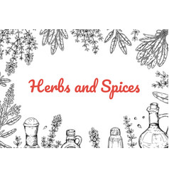 Herbs And Spices Horizontal Design Hand Draw