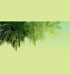 Green Background With Palm Leaves Lit Sun