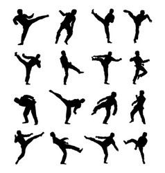 Taekwondo Fighter Silhouette Isolated