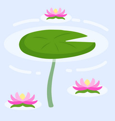 Water Lily In Pond River Plant Green Leaves