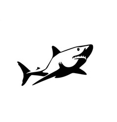 Shark Image