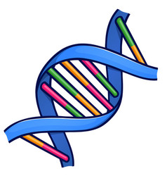 Dna Or Chromosome Cartoon Isolated