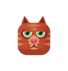 Cat Square Icon