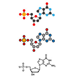 Deoxyguanosine monophosphate dgmp nucleotide Vector Image