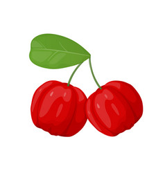 Red Acerola Berry Barbados Cherry