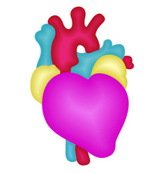 Bright Isolated Of Anatomical Heart