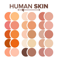 Skin Human Various Body Tones Chart