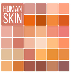 Human Skin Various Body Tones Chart