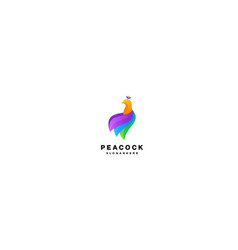 Peacock Logo Gradient Colorful