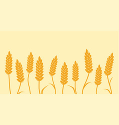 Background With Wheat Ear Of Wheat Ear