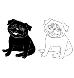 Funny Sitting Pugs In Black And White Colors