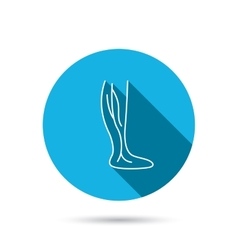 Phlebology Icon Leg Veins Sign