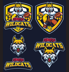 Fearless Wildcats Mascot