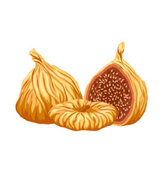 Figs Dried Fruit Cartoon