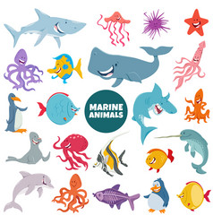 Cartoon Marine Animal Characters Big Set