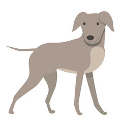 Greyhound Kid Icon Cartoon Animal Dog