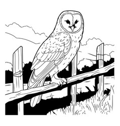 Owl On The Fence In Black And White