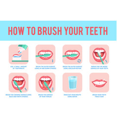 How To Brush Teeth Correct Tooth Brushing