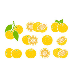 Yuzu Fruit