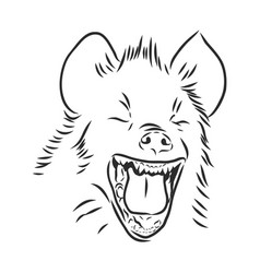 Head Laughing Hyena On Blots Background