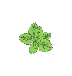 One Single Line Drawing Of Healthy Organic Mint