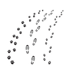 Shoe And Dog Paws Prints